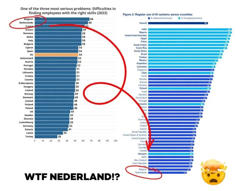Nederland, steek eens wat tijd in laaghangend AI fruit